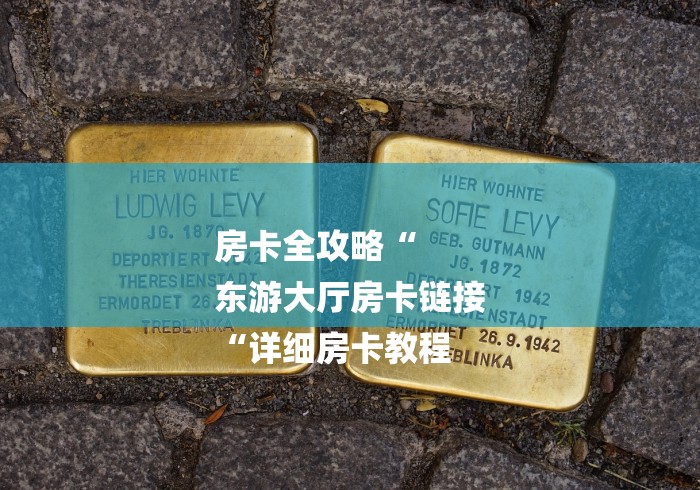 房卡全攻略“
东游大厅房卡链接
“详细房卡教程