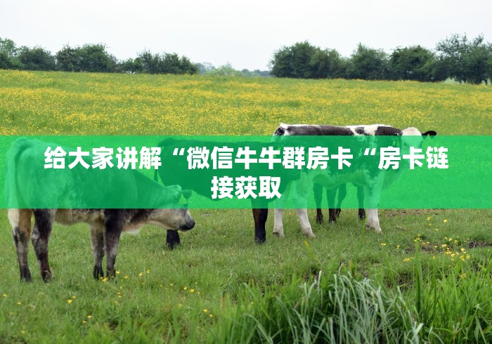 给大家讲解“微信牛牛群房卡“房卡链接获取