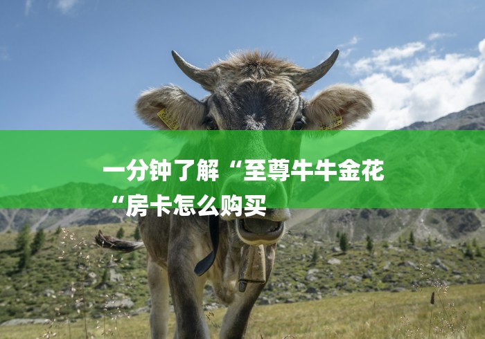 一分钟了解“至尊牛牛金花
“房卡怎么购买