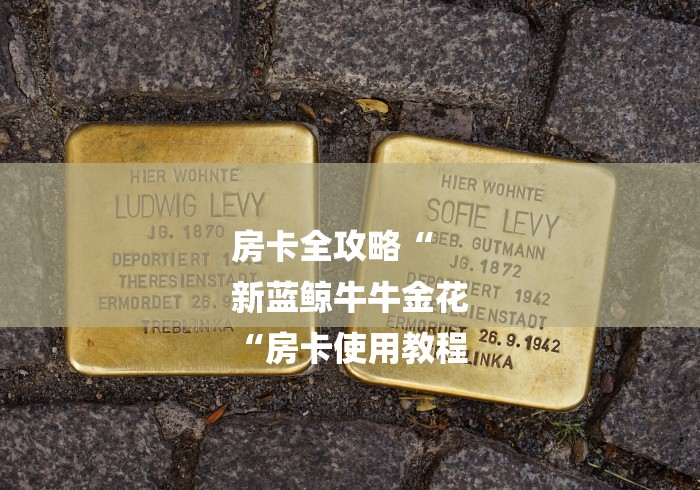 房卡全攻略“
新蓝鲸牛牛金花
“房卡使用教程