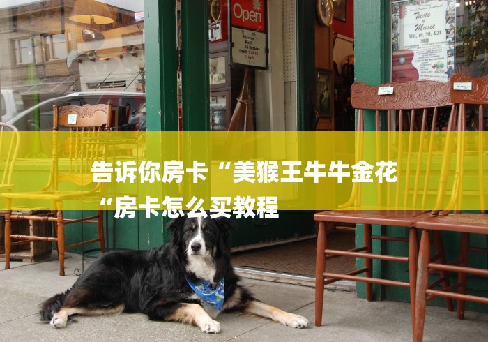 告诉你房卡“美猴王牛牛金花
“房卡怎么买教程 告诉你房卡“美猴王牛牛金花
“房卡怎么买教程