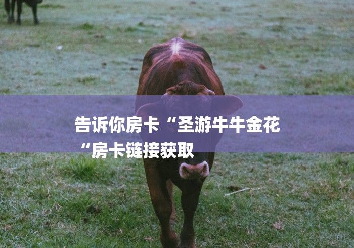 告诉你房卡“圣游牛牛金花
“房卡链接获取 告诉你房卡“圣游牛牛金花
“房卡链接获取