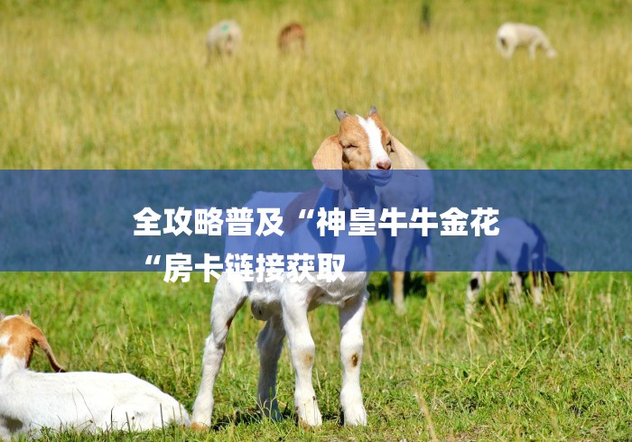 全攻略普及“神皇牛牛金花
“房卡链接获取 全攻略普及“神皇牛牛金花
“房卡链接获取