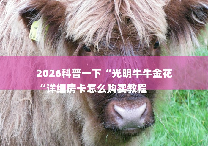 2026科普一下“光明牛牛金花
“详细房卡怎么购买教程 2026科普一下“光明牛牛金花
“详细房卡怎么购买教程