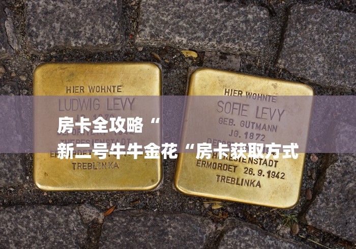 房卡全攻略“
新二号牛牛金花“房卡获取方式 房卡全攻略“
新二号牛牛金花“房卡获取方式