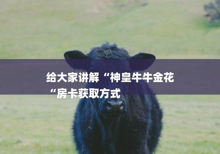 给大家讲解“神皇牛牛金花
“房卡获取方式