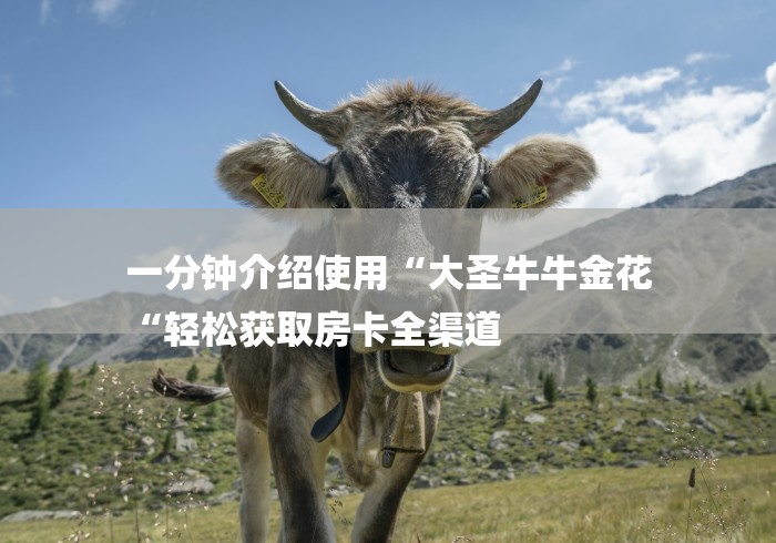 一分钟介绍使用“大圣牛牛金花
“轻松获取房卡全渠道