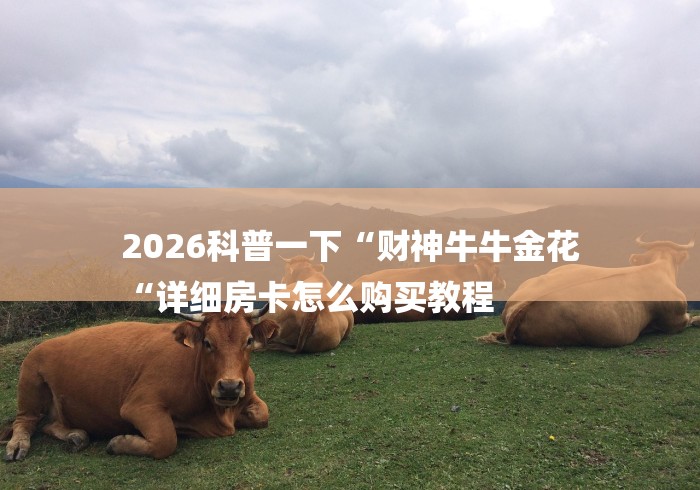 2026科普一下“财神牛牛金花
“详细房卡怎么购买教程