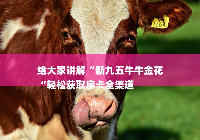给大家讲解“新九五牛牛金花
“轻松获取房卡全渠道