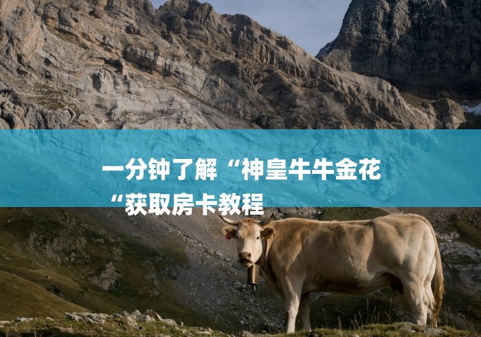 一分钟了解“神皇牛牛金花
“获取房卡教程 一分钟了解“神皇牛牛金花
“获取房卡教程