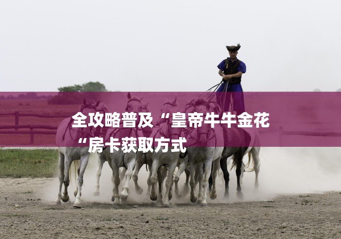 全攻略普及“皇帝牛牛金花
“房卡获取方式