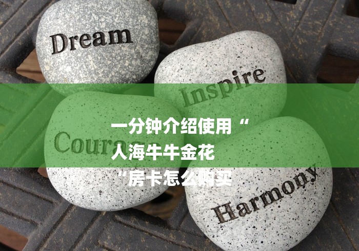 一分钟介绍使用“
人海牛牛金花
“房卡怎么购买