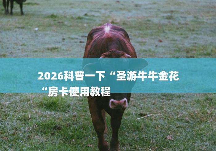2026科普一下“圣游牛牛金花
“房卡使用教程