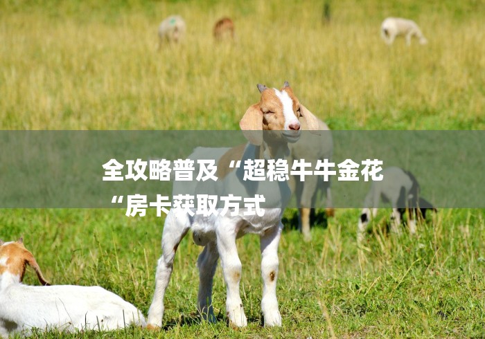 全攻略普及“超稳牛牛金花
“房卡获取方式 