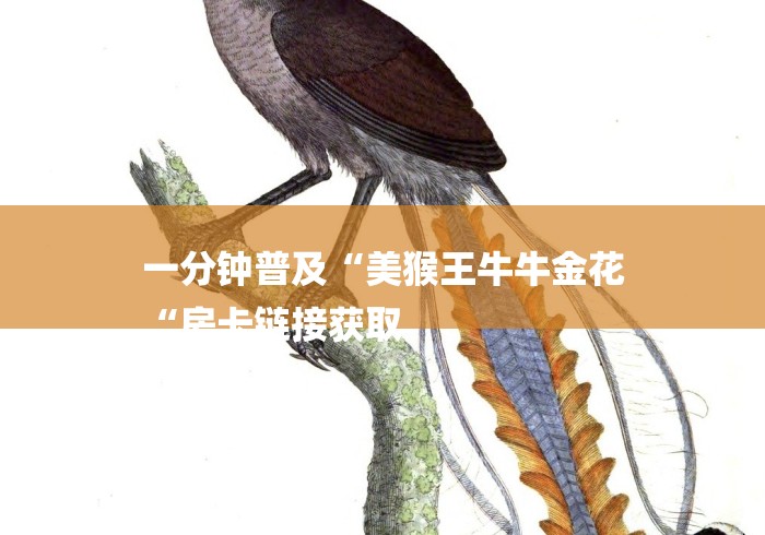 一分钟普及“美猴王牛牛金花
“房卡链接获取 一分钟普及“美猴王牛牛金花
“房卡链接获取