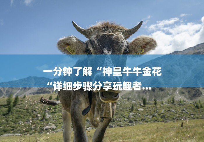 一分钟了解“神皇牛牛金花
“详细步骤分享玩趣者... 一分钟了解“神皇牛牛金花
“详细步骤分享玩趣者...