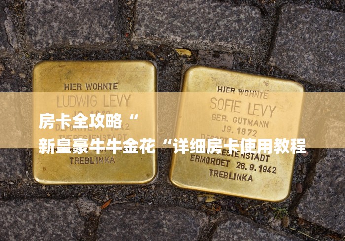 房卡全攻略“
新皇豪牛牛金花“详细房卡使用教程 房卡全攻略“
新皇豪牛牛金花“详细房卡使用教程