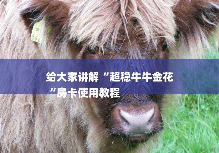 给大家讲解“超稳牛牛金花
“房卡使用教程 给大家讲解“超稳牛牛金花
“房卡使用教程