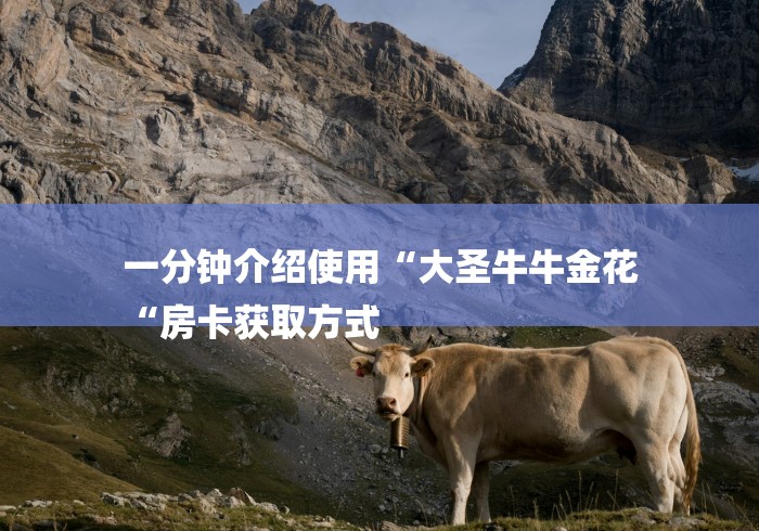 一分钟介绍使用“大圣牛牛金花
“房卡获取方式 