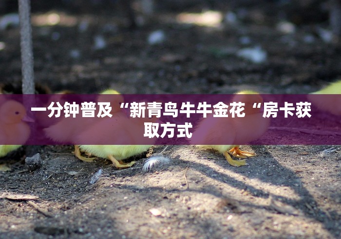 一分钟普及“新青鸟牛牛金花“房卡获取方式 
