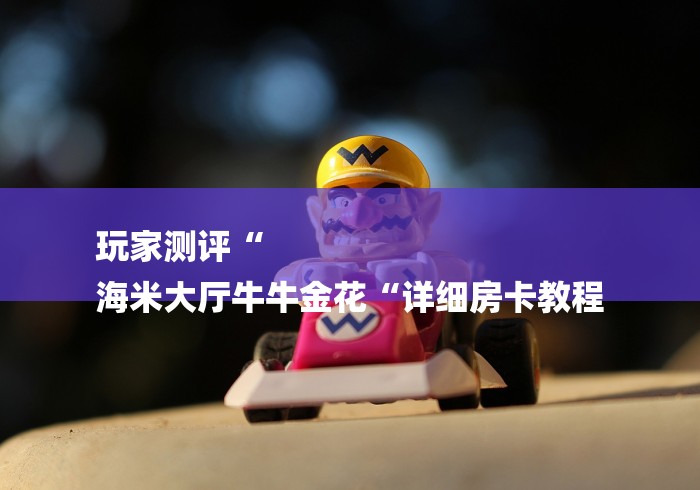 玩家测评“
海米大厅牛牛金花“详细房卡教程