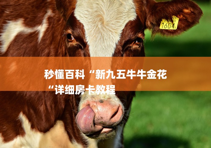 秒懂百科“新九五牛牛金花
“详细房卡教程 秒懂百科“新九五牛牛金花
“详细房卡教程