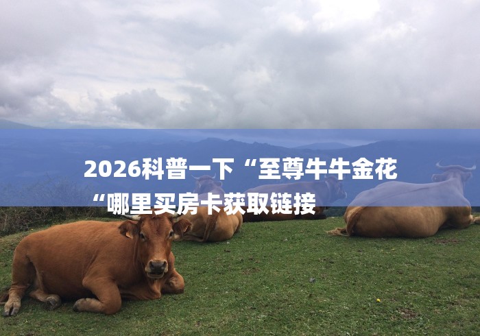 2026科普一下“至尊牛牛金花
“哪里买房卡获取链接 2026科普一下“至尊牛牛金花
“哪里买房卡获取链接