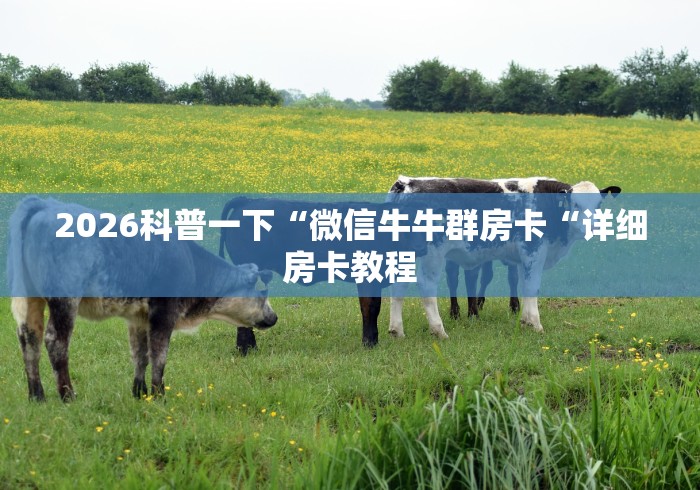 2026科普一下“微信牛牛群房卡“详细房卡教程