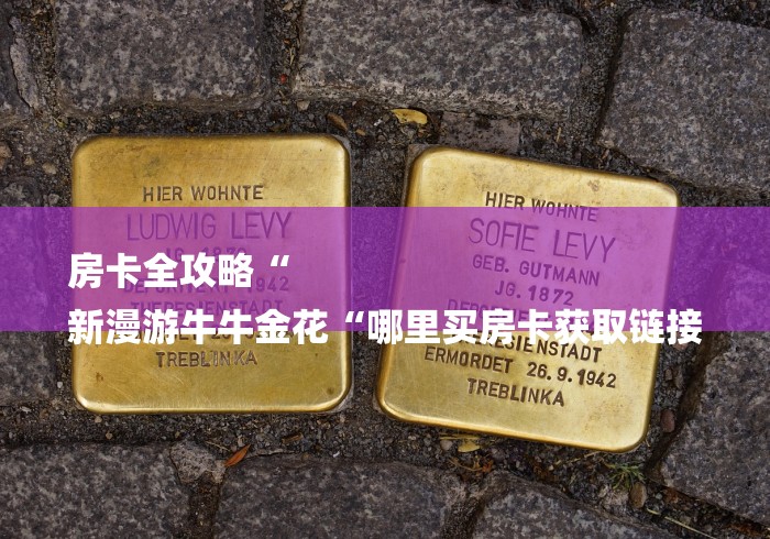 房卡全攻略“
新漫游牛牛金花“哪里买房卡获取链接 房卡全攻略“
新漫游牛牛金花“哪里买房卡获取链接