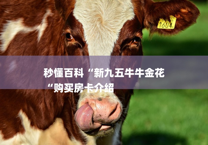 秒懂百科“新九五牛牛金花
“购买房卡介绍