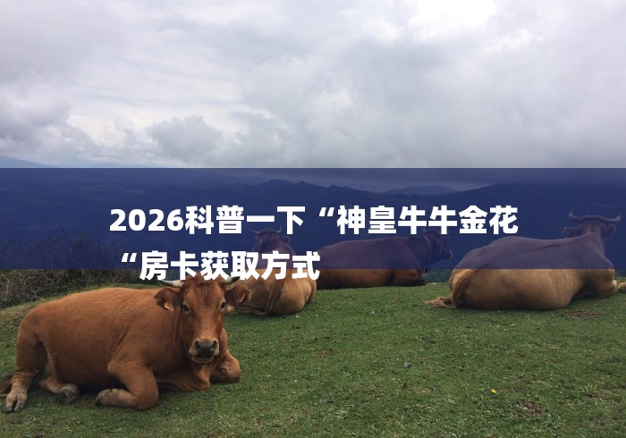 2026科普一下“神皇牛牛金花
“房卡获取方式 