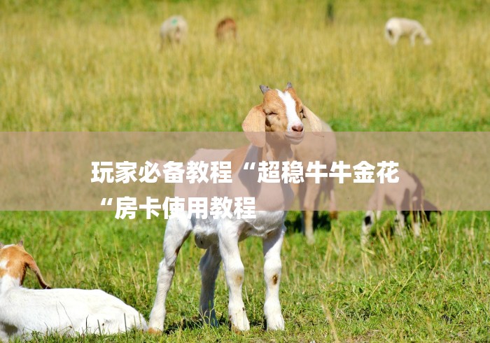 玩家必备教程“超稳牛牛金花
“房卡使用教程 玩家必备教程“超稳牛牛金花
“房卡使用教程