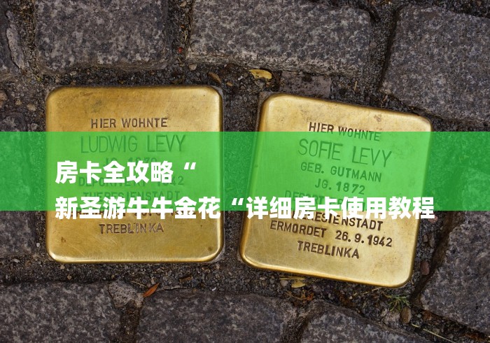 房卡全攻略“
新圣游牛牛金花“详细房卡使用教程 房卡全攻略“
新圣游牛牛金花“详细房卡使用教程