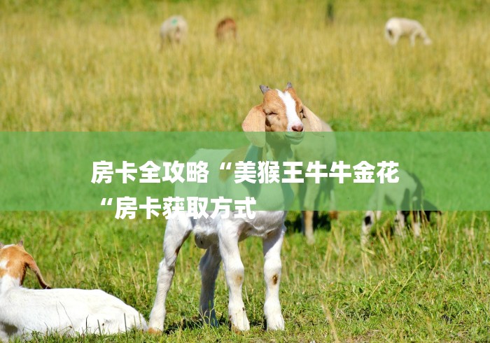 房卡全攻略“美猴王牛牛金花
“房卡获取方式