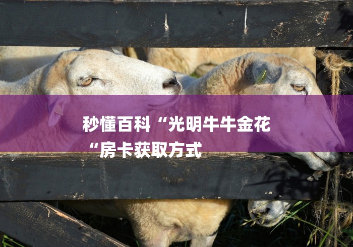 秒懂百科“光明牛牛金花
“房卡获取方式 秒懂百科“光明牛牛金花
“房卡获取方式