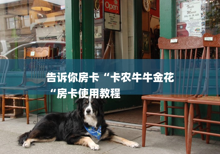 告诉你房卡“卡农牛牛金花
“房卡使用教程 告诉你房卡“卡农牛牛金花
“房卡使用教程