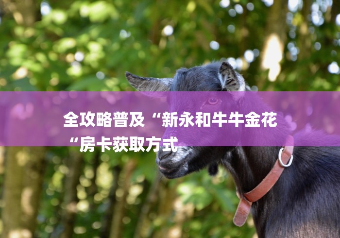 全攻略普及“新永和牛牛金花
“房卡获取方式