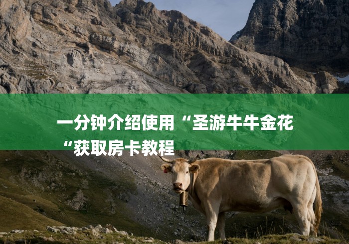一分钟介绍使用“圣游牛牛金花
“获取房卡教程 一分钟介绍使用“圣游牛牛金花
“获取房卡教程