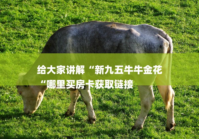 给大家讲解“新九五牛牛金花
“哪里买房卡获取链接