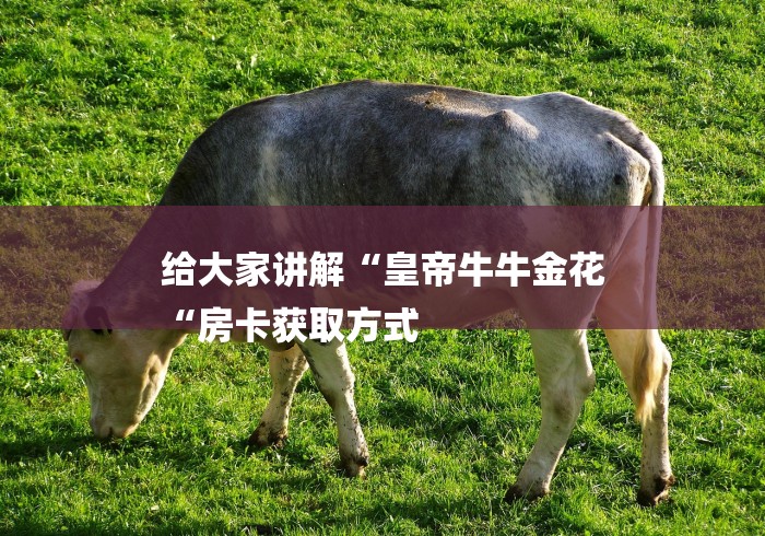 给大家讲解“皇帝牛牛金花
“房卡获取方式 给大家讲解“皇帝牛牛金花
“房卡获取方式