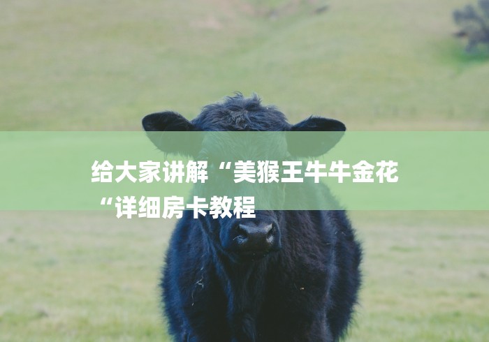 给大家讲解“美猴王牛牛金花
“详细房卡教程 给大家讲解“美猴王牛牛金花
“详细房卡教程