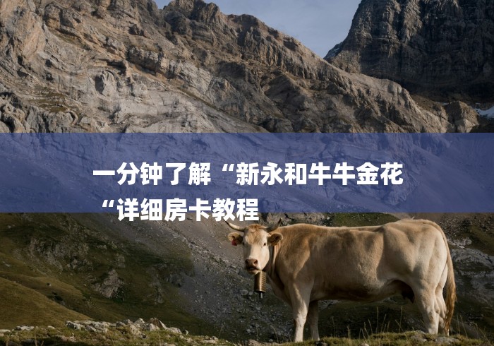 一分钟了解“新永和牛牛金花
“详细房卡教程 一分钟了解“新永和牛牛金花
“详细房卡教程