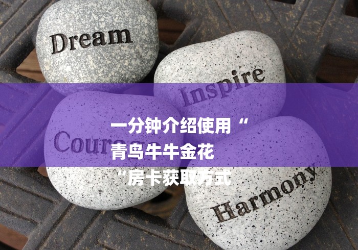 一分钟介绍使用“
青鸟牛牛金花
“房卡获取方式