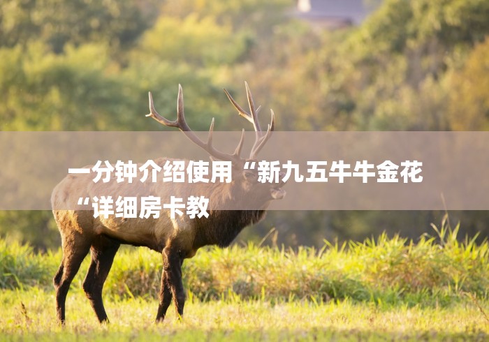 一分钟介绍使用“新九五牛牛金花
“详细房卡教 一分钟介绍使用“新九五牛牛金花
“详细房卡教