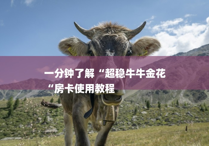 一分钟了解“超稳牛牛金花
“房卡使用教程