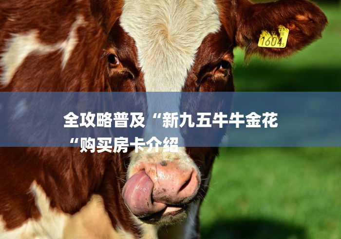 全攻略普及“新九五牛牛金花
“购买房卡介绍
