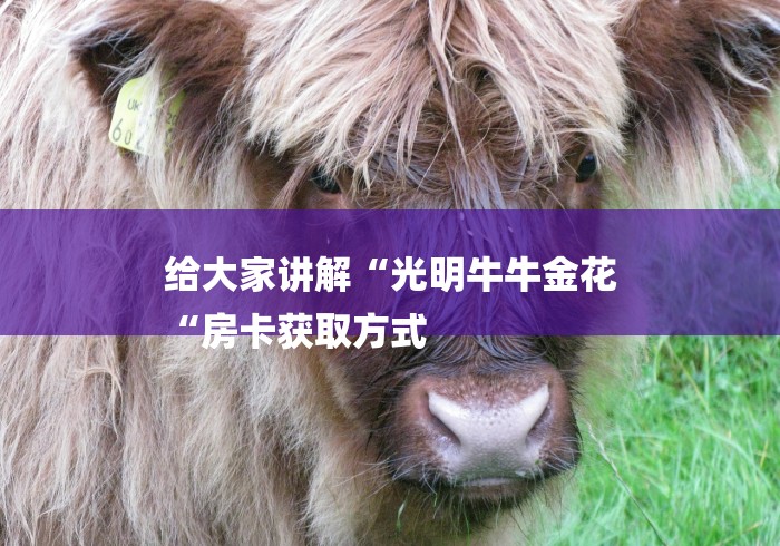 给大家讲解“光明牛牛金花
“房卡获取方式 给大家讲解“光明牛牛金花
“房卡获取方式