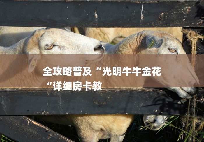 全攻略普及“光明牛牛金花
“详细房卡教 全攻略普及“光明牛牛金花
“详细房卡教