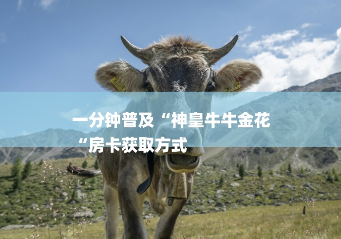 一分钟普及“神皇牛牛金花
“房卡获取方式