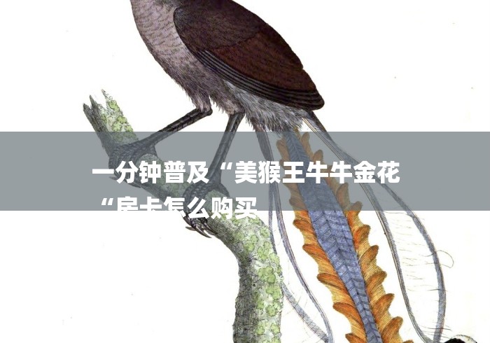 一分钟普及“美猴王牛牛金花
“房卡怎么购买